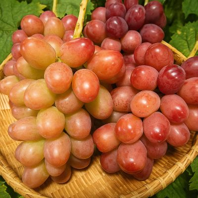 クイーンルージュ