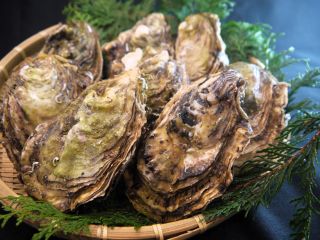 広島真牡蠣