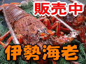 �ɐ��C�V�̔��y�[�W��
