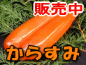 ���炷�ݔ̔��y�[�W��