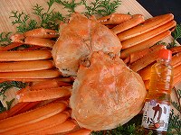 �g���킢����