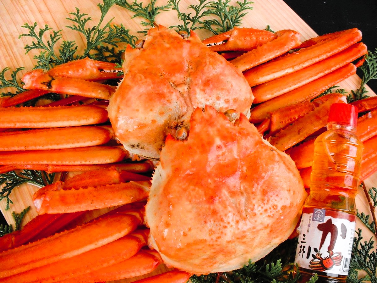 香住がに姿イメージ