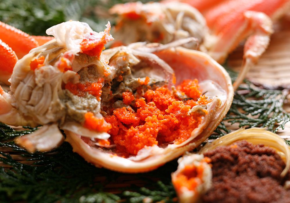 せこがに（松葉がにメス）