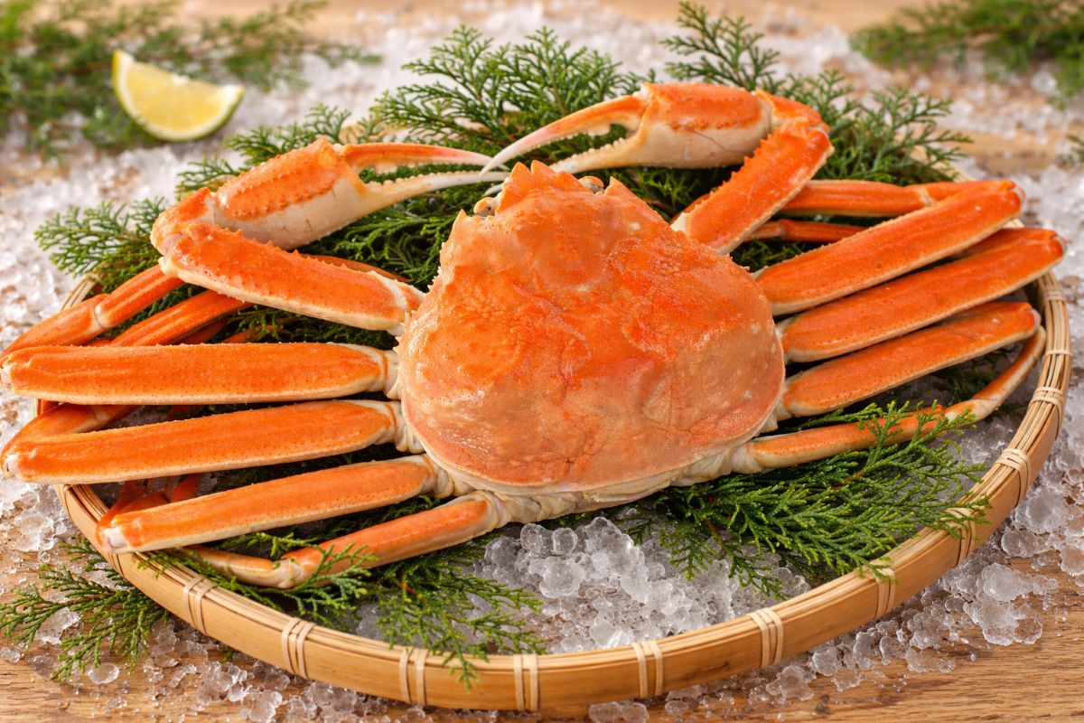 釜ゆで本ズワイガニ