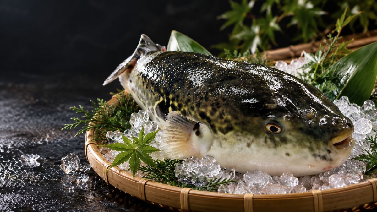 魚清水産